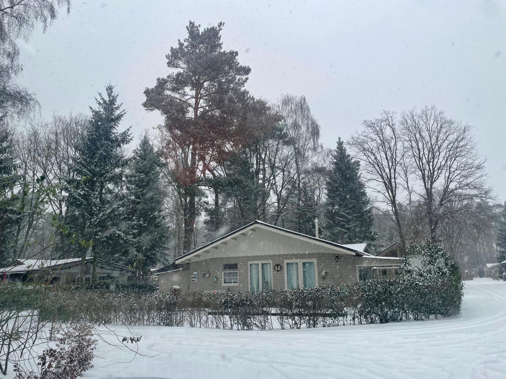 Chalet Sint-Hubertus Zutendaal Εξωτερικό φωτογραφία
